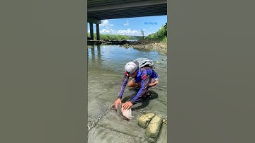 Cá Lớn - bắt Cá Rô Phi Khủng đơn giản 😱 #khacthuyvlogg