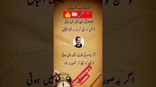 Niazii Ruh - E - Sukhan. Iqbal Visionary Leader 🖋️📖🖊️❣️ Resimi