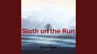 Sloth on the Run