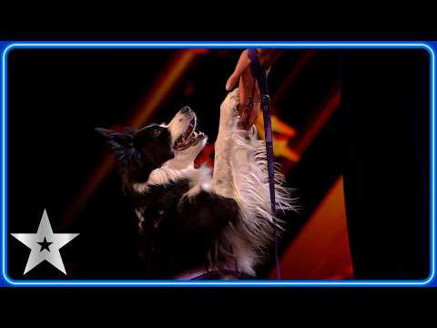 Anastasiia & Salsa join Golden Buzzer act Matty Juniosa in the Grand Final | Semi-Finals | BGT 2026