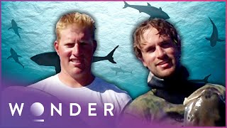 Group Of Friends Survive A Deadly Shark Attack Fight To Survive Wonder