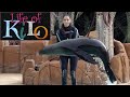 Tenerife Jungle Park Sea Lions Show