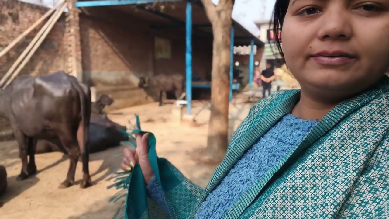 Gaon mein shaadi ki rasmen#sonivlogs 