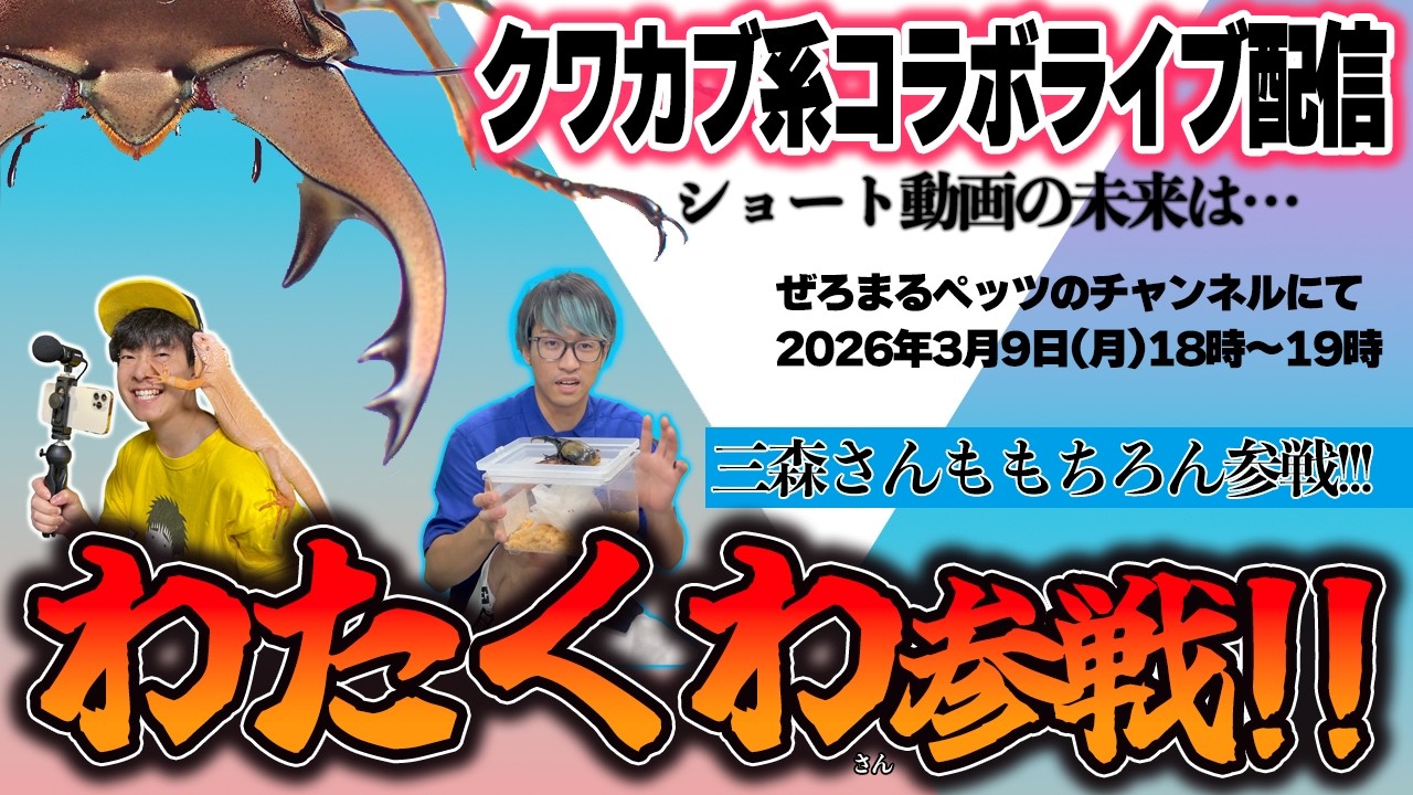 【LIVE】わたくわさん参戦！クワカブ系とショート動画の未来はどうなる？