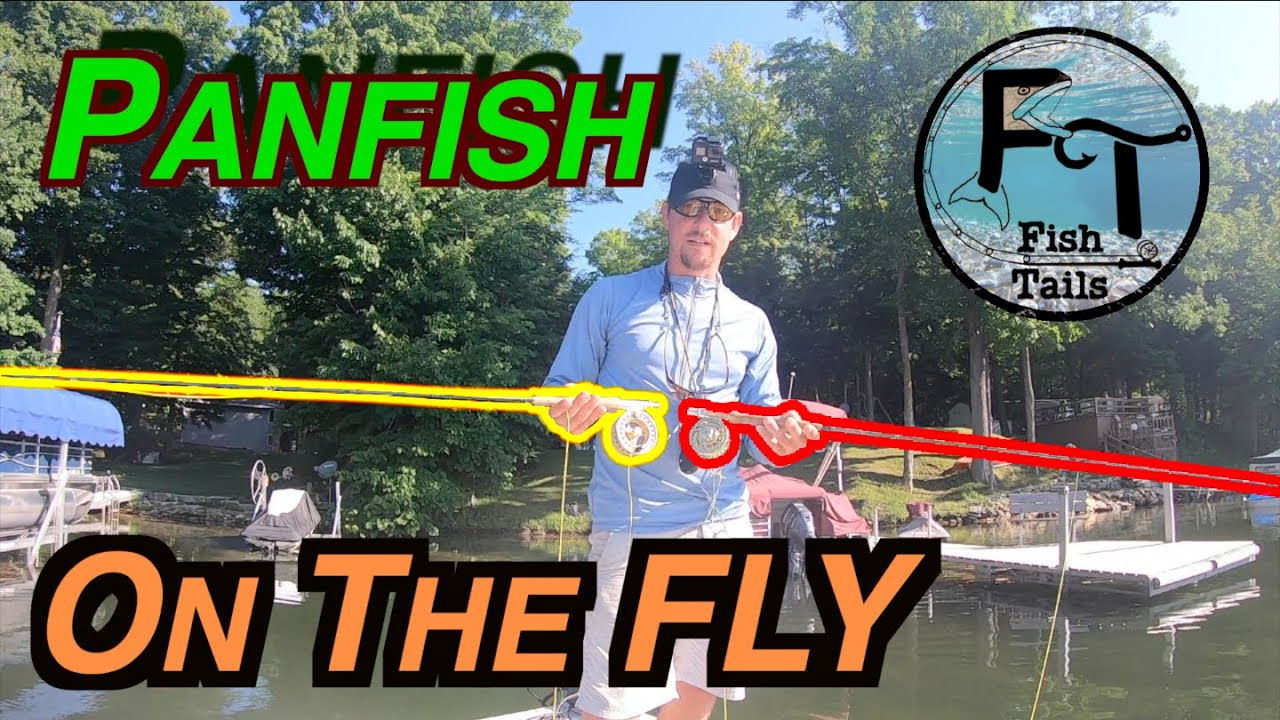Fly Fishing Panfish Success!!! (bluegill tips & techniques using nymphs) -  Fish Tails ep-21 