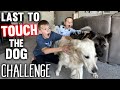 Last to Touch the DOG Challenge!