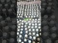 Wholesale Coconut Shell Cups Made in Vietnam #coconutbowlwholesale #coconutbowls