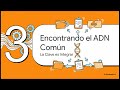 La RSE en la Gestion de la Calidad