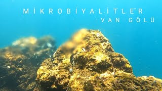 TEK NEFES DERİNDE MİKROBİYALİTLER | VAN GÖLÜ | EDREMİT | MICROBIALITES