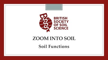 Zoom into Soil: Soil Functions