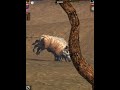 [Tour 17] Redriverhog &amp; Double Kill_Perfect Kill by Gallop_Marshal36-Legacy Max