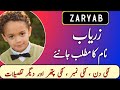 Zaryab name meanings in urdu  zaryab naam ka matlab  top islamic name  zahid info hub 