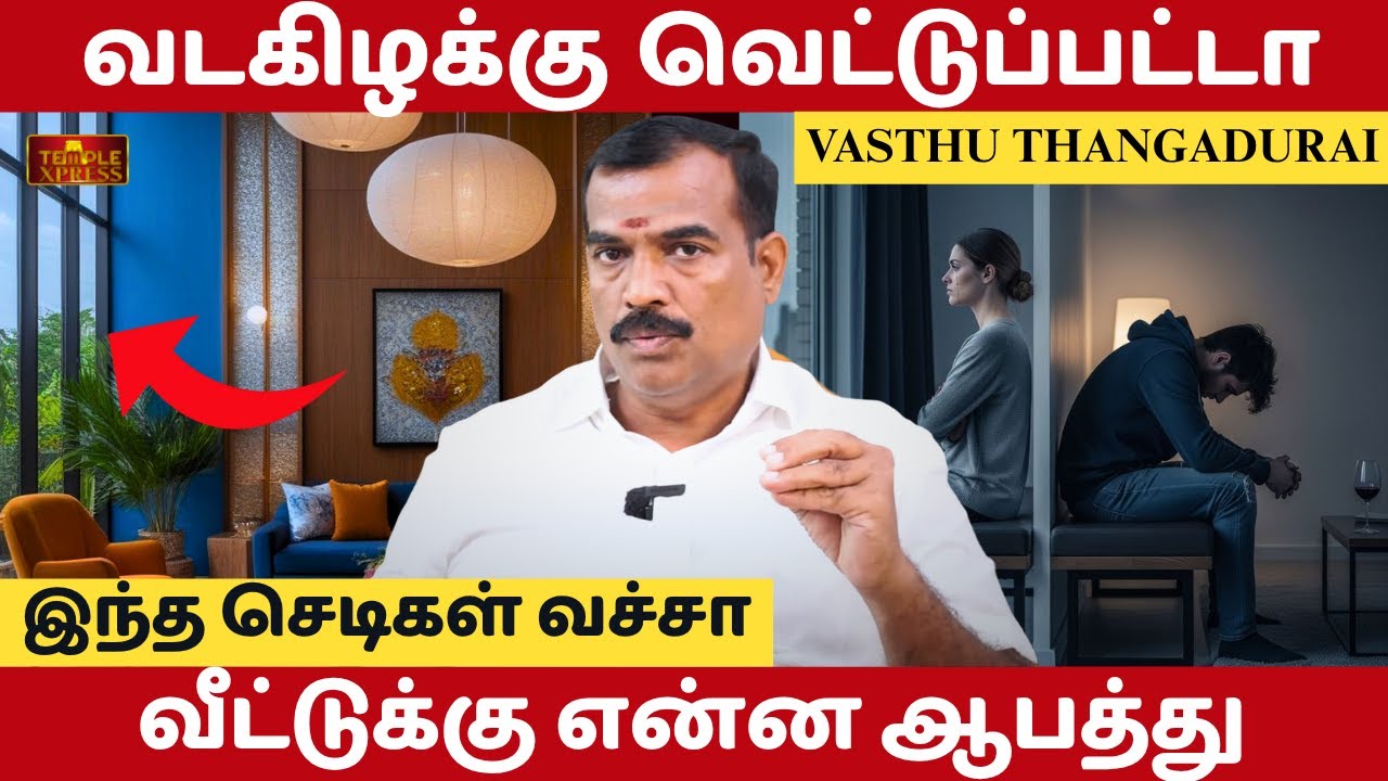 Какие опасности грозят дому, если северо-восток будет обрезан? Васту Тангадурай #эксклюзив