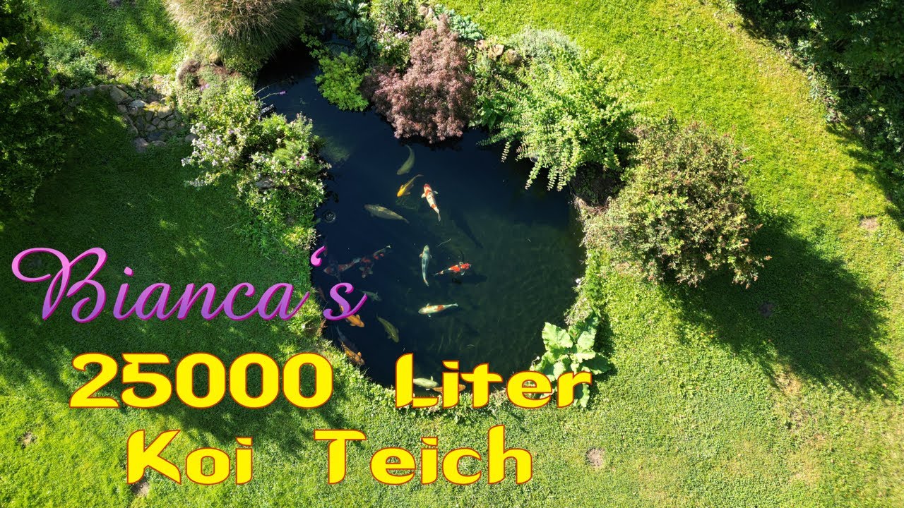 Bianca‘s naturnaher 25000 Liter Koi Teich! YouTube