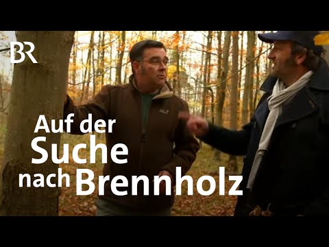 Video: Schmidt-Birke. Eigenschaften von Schmidt Birkenholz
