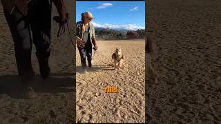 What Is This Animal?