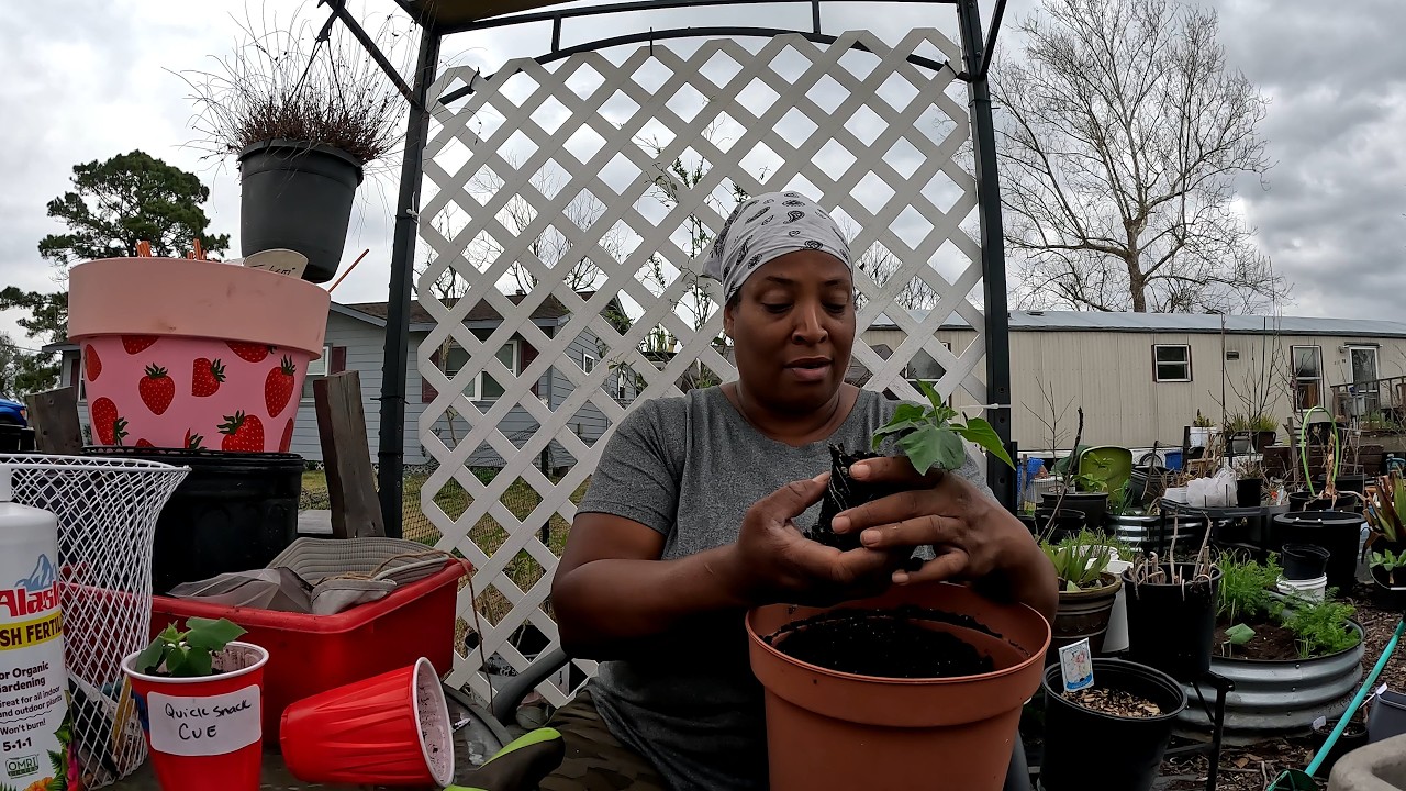 Весенняя пересадка растений в саду / Метод квадратных футов