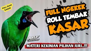 Dahsyat pooL ! MASTERAN CUCAK IJO FULL TEMBAKAN KASAR RAPAT JERNIH‼️