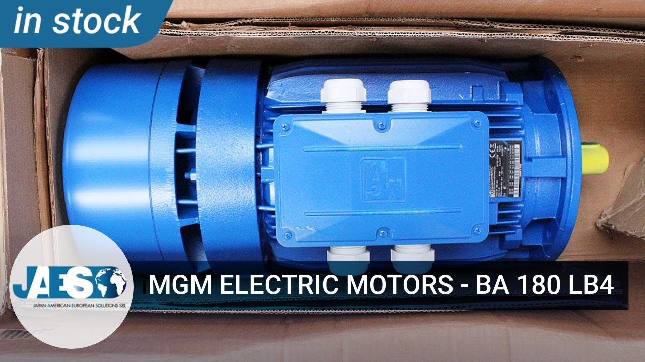 Nissan mgm motors
