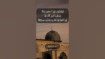 سورة الأنفال الآية ٣٨ الى ٤٠ بصوت الشيخ محمد صديق المنشاوي