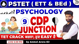 CDP JUNCTION 🧠 PSTET 1 & 2 | Session 9 TET CRACK ਕਰਨਾ, ਹੁਣ EASY ਹੈ Anmol Arora Sir #pstet2025