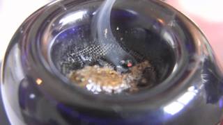 tokin daily: hashday! stoner POV jelly hash making