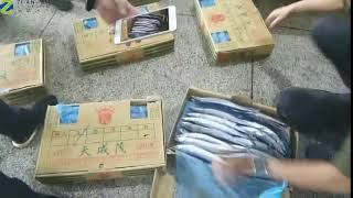 1# Pacific Saury