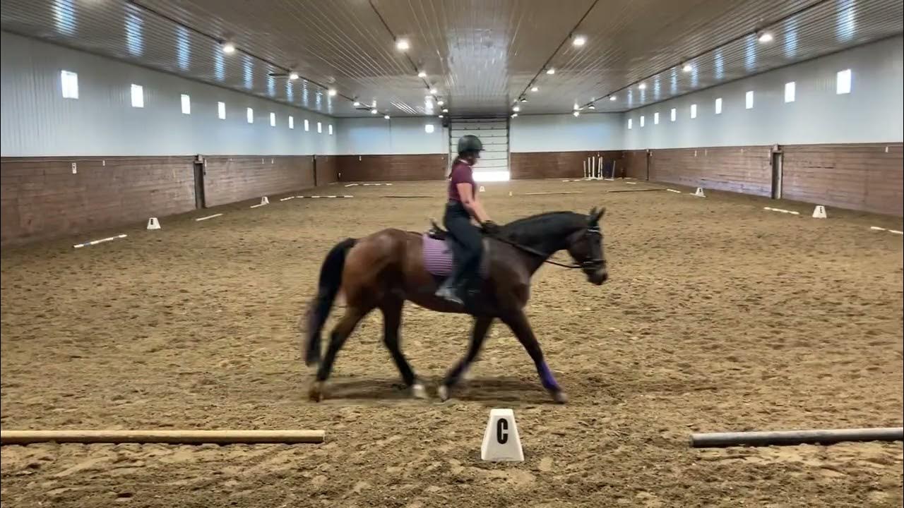 Dressage Test Intro C YouTube