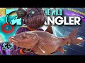 HOW And WHERE We CAUGHT The NEW LEGENDARY On Spain HUGE Barbel | Call of the wild the angler.