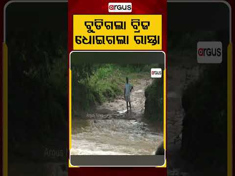 ଧୋଇଗଲା ରାସ୍ତା... | Odisha Flood | Odisha Rain | Flash Flood | Argus News