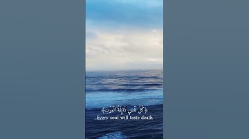 سورة العنكبوت بصوت الشيخ عبدالرحمن مسعد أجر لي ولكم ❤️#عبدالرحمن_مسعد #القرآن_الكريم #قرآن #القران