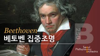 [콘미공] 탄생 250주년 기념 - 베토벤 집중조명