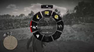 Red Dead Redemption 2 blind gameplay no commentary