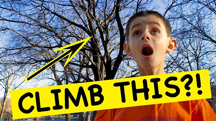 TREE CLIMBING BASICS FOR KIDS - How to Climb a Tree for Beginners!