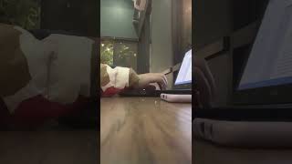 Study with me 40 minutes at Punspace (a co-working space), Chiang Mai, Thailand