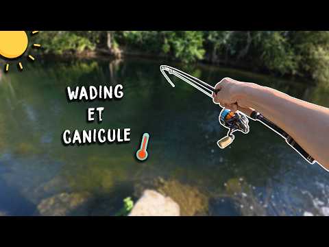 EASY Lure Fishing During a Heatwave: PERCH & BIG CHUB!