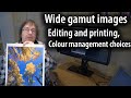 Printing and editing wide gamut images: working spaces, printer colour  profiles and soft proofing
