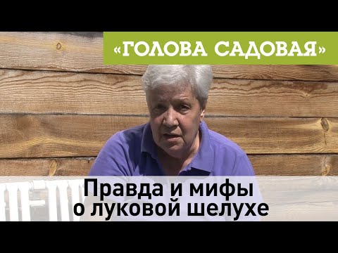 Голова садовая - Правда и мифы о луковой шелухе