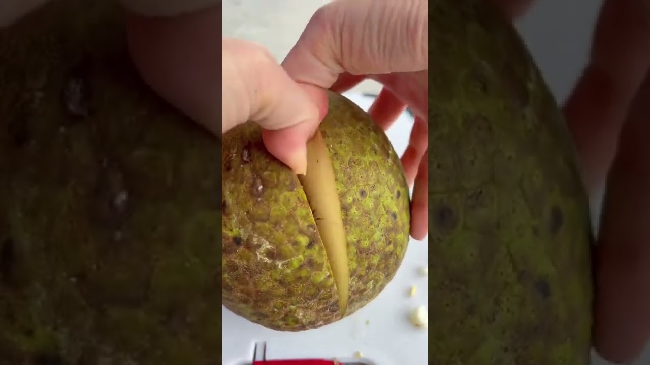 The texture similar to freshly baked bread, which is why it’s called