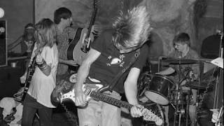 Sonic Youth - Small Flowers Crack Concrete