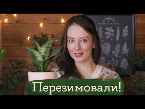 Перезимовали #2 | Masherisha