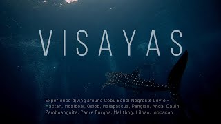 Sea You in Visayas |  Diving Around Visayas Region Philippines | Scuba Diving Philippines