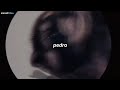 [1 HORA] la canción de pedro | PEDRO - Raffaella Carrà, Jaxomy, Agatino Romero (TikTok Remix) Mp3 Song