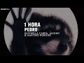 [1 HORA] la canción de pedro | PEDRO - Raffaella Carrà, Jaxomy, Agatino Romero (TikTok Remix)