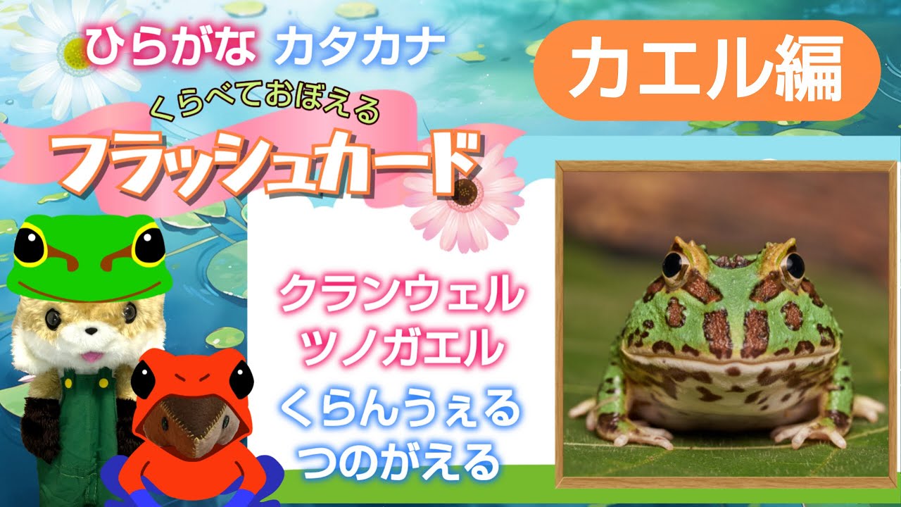 Flashcards] Hiragana & Katakana Practice: Frogs - YouTube