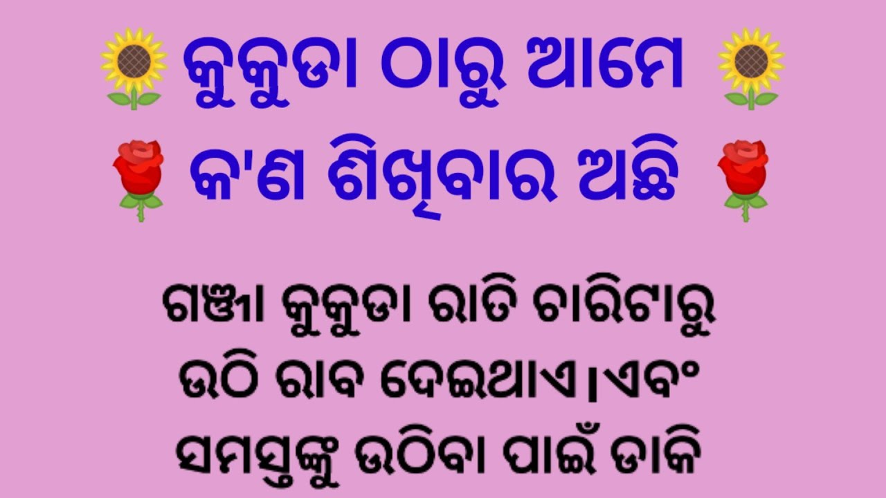 odia Quotes Best Lines True Lines odia-quotes-best-lines-true-lines