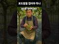 포도밭을 접어야 하나/고령화 리얼스토리#고령화이야기#포도밭할머니#시골노인#농사접을까말까#노년의노동#포도수확#노인의자리#할머니의여름#노동의가치#웃픈현실#번외주제#고령화쇼츠
