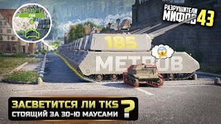 ЗАСВЕТИТСЯ ЛИ ТАНК ЗА 30-Ю МАУСАМИ? РАЗРУШИТЕЛИ МИФОВ 43 в WorldOfTanks