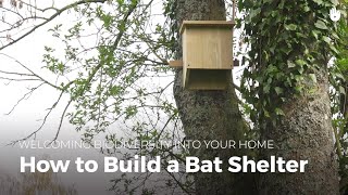 How to Build a Bat House | Biodiversity