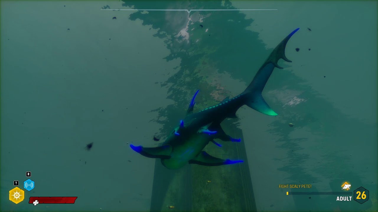 Man Eater:  Shark air control tips; Dead Horse Lake high license plate under bridge